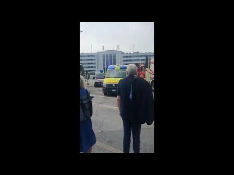 Venezia, albero crolla in piazzale Roma: turisti feriti