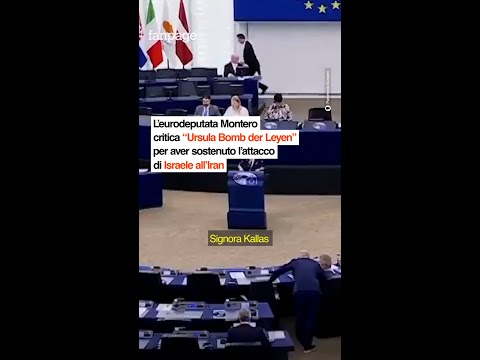 vert_ montero