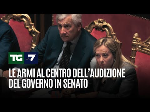 Le armi al centro dell’audizione del governo in Senato