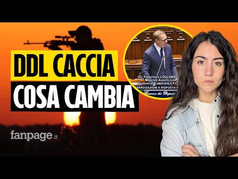 DDL CACCIA, le novità: cosa cambia davvero nella nuova versione presentata in Parlamento