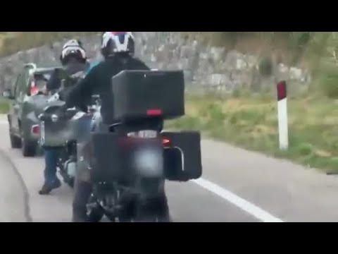 Mucca fugge dal pascolo e travolge due motociclisti