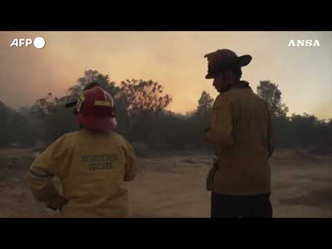 Messico, gli incendi divorano da giorni i boschi della Baja California