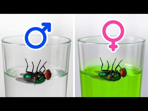 Fatti che ti fanno dire “Ah” e poi cercare su Google per un’ora