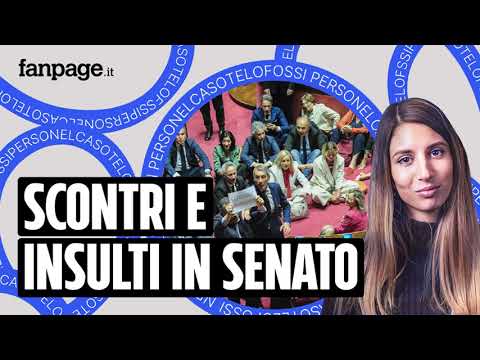 In Senato si sfiora la rissa sul voto finale al Decreto Sicurezza – Nel Caso Te Lo Fossi Perso EP58