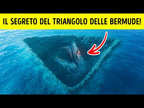 Il Segreto del Triangolo delle Bermuda Svelato: Scoperte Enormi Creature Oceaniche