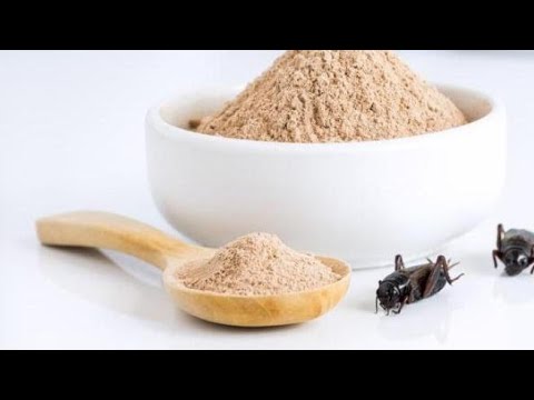 Farina di grilli per risparmiare acqua e produrre meno gas serra