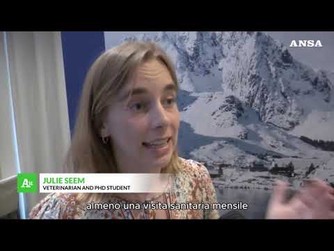 Norwegian Seafood Council, “il salmone resta il piu’ amato dagli italiani”