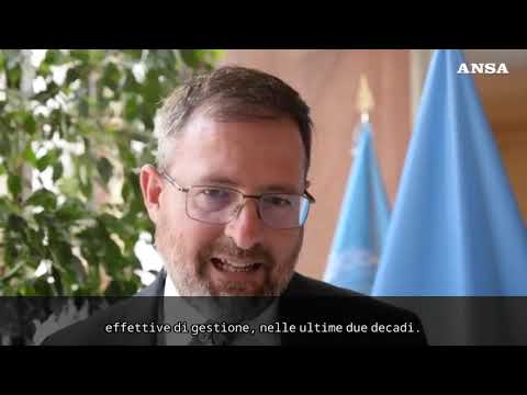 Report FAO Mediterraneo, “sostenibile solo il 35% degli stock ittici”
