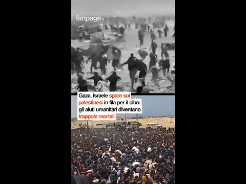 Una nuova strage di disperati si è consumata nella Striscia di Gaza, dove almeno 35 palestinesi sono