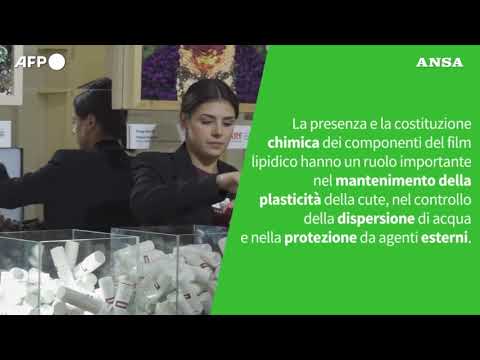 Ansa VERIFIED – E’ vero che gli estratti dalle piante fanno bene alla pelle?