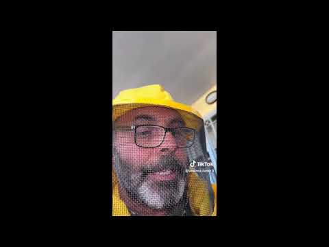 Roma: ecco come l’etologo cattura la regina di uno sciame pericolose vespe