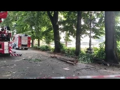 Parco delle Cascine, grosso ramo ferisce una ragazza