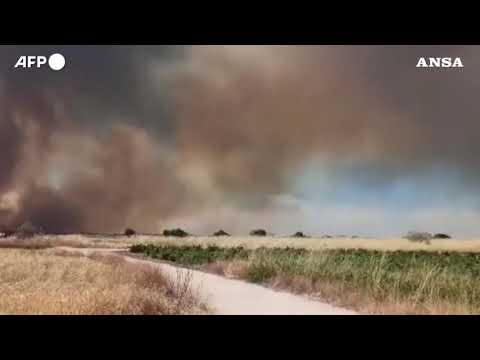 Spagna, vasto incendio boschivo nella provincia di Toledo