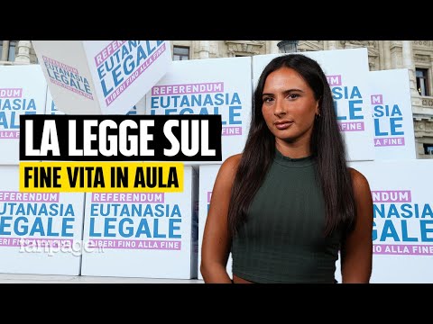 Cosa prevede la nuova legge sul fine vita arrivata in Parlamento e perché fa già discutere