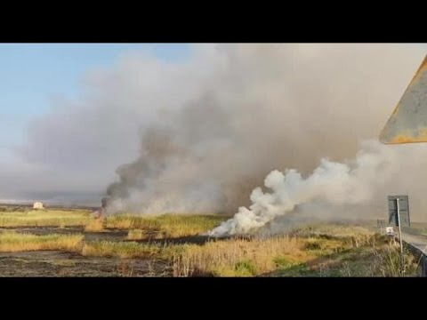 Incendio nell’oasi Salso la riserva naturalistica che si trova alla periferia di Manfredonia.