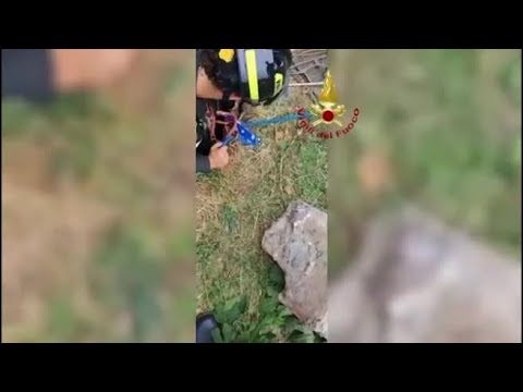 Piacenza, il gatto finisce nel pozzo e viene salvato dai vigili del fuoco