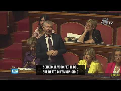 Ddl reato femminicidio, il voto al Senato