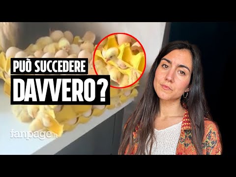 Può succedere davvero?