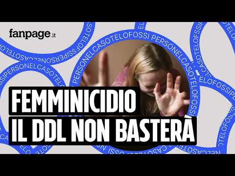 Il ddl femminicidio non basterà contro la violenza sulle donne – Nel Caso Te Lo Fossi Perso Ep89