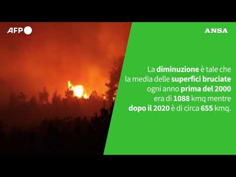 Ansa VERIFIED – E’ vero che gli incendi boschivi in Italia stanno aumentando?