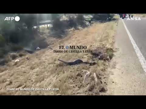 Spagna, il luogo dell’incidente stradale in cui ha perso la vita Diogo Jota