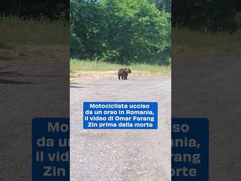 Motociclista ucciso da un orso in Romania, il video di Omar Farang Zin prima della morte
