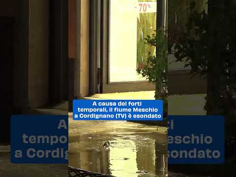 Il fiume Meschio a Cordignano (TV) esonda dopo i temporali