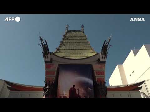 Nuovo “Superman” in arrivo, il cast sul red carpet di Hollywood