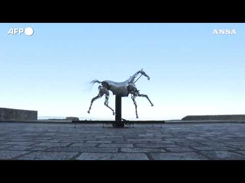 Parigi 2024, il cavallo Zeus “atterra” a Mont Saint-Michel