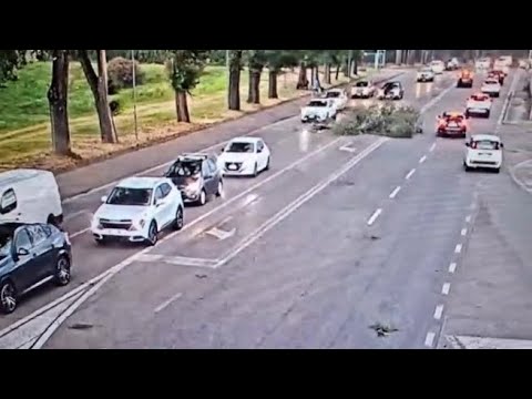 Maltempo, a Verona vento a 100 chilometri orari: albero piomba sulle auto in coda