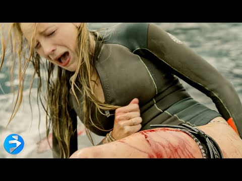 Blake Lively Gets Attacked by a Shark! | THE SHALLOWS