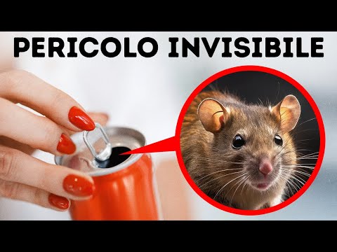 La Tua Casa È Davvero Sicura? // Cose Quotidiane Con Rischi Nascosti