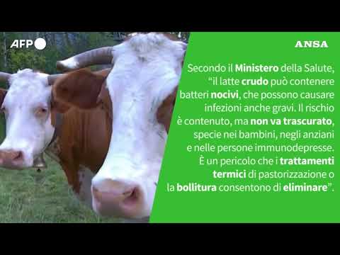 Ansa VERIFIED – E’ vero che il latte fresco e’ equivalente al latte crudo?