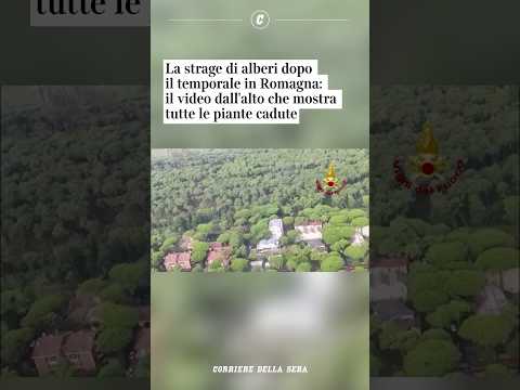 La strage di alberi dopo il temporale in Romagna: il video dall’alto #shorts #news