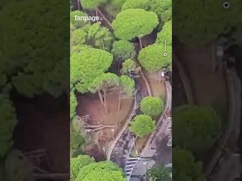 Maltempo a Milano Marittima: gli effetti della tromba d’aria visti dall’alto