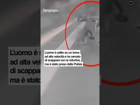 Sale su un treno in Stazione Centrale e cerca di rubare due valigie da 10mila euro, arrestato: il vi