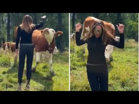 Vacanze a Cortina, Ilary Blasi (quasi) come Heidi: gioca con una mucca, ma scappa terrorizzata