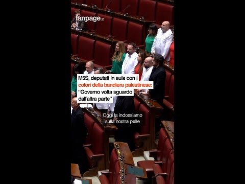 Deputati M5s si vestono con i colori della Palestina durante il qt alla Camera: “Governo colpevole”