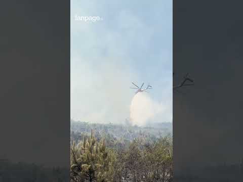 Incendio sul Vesuvio, le immagini della devastazione provocata dalle fiamme