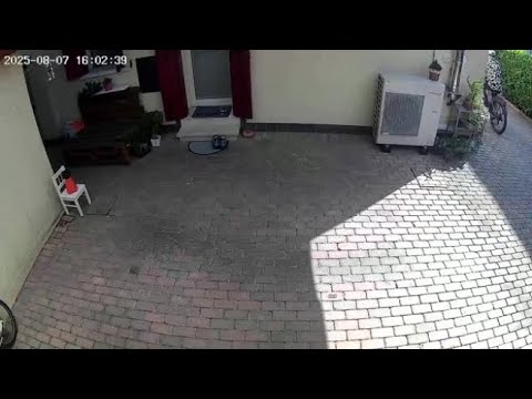 Treviso, derubato della bici nel giardino di casa: il video delle telecamere di sorveglianza