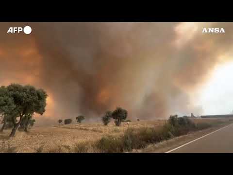 Continuano gli incendi in Spagna, due vittime e centinaia di evacuati