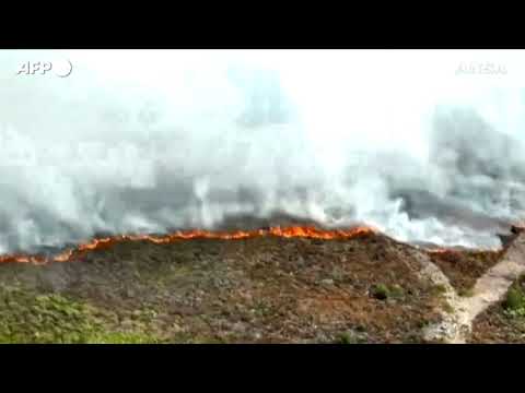 Nel Regno Unito sono in fiamme i boschi del North York Moors