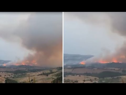Il video dell’incendio a Roccalbegna: il fuoco sulle colline della Maremma