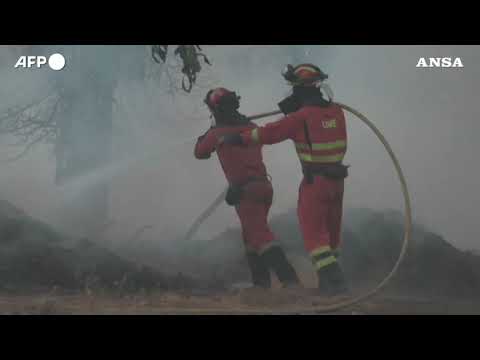 Spagna, incendi ancora attivi nel nord-ovest del Paese