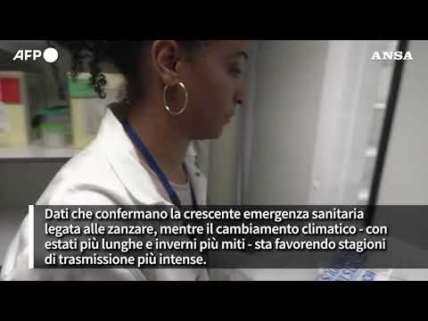 Malattie da zanzare in crescita, Italia prima nella diffusione del West Nile