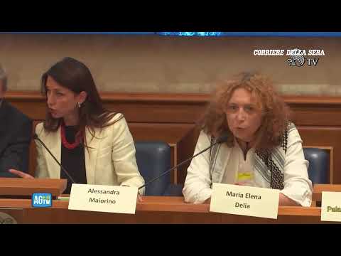 Global Sumud Flotilla, la conferenza stampa in Senato