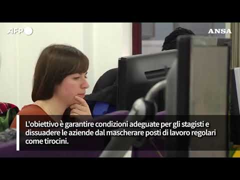 L’Eurocamera chiede “condizioni di lavoro adeguate per gli stagisti”