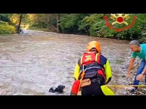 Trascinato dalla corrente, cane salvato a Vobarno dai Vigili del fuoco