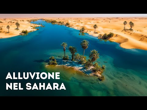 Le Scoperte Più Misteriose del Deserto a Cui il Mondo Non Era Preparato