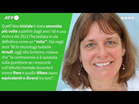 Ansa VERIFIED – E’ vero che si sogna solo durante il sonno Rem?